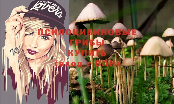 стафф Семикаракорск