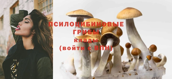 2c-b Семилуки